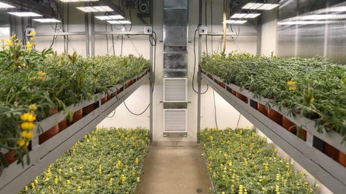 Ministro de Ciencia destaca capacidades en La Araucanía para la investigación e innovación en plantas y alimentos