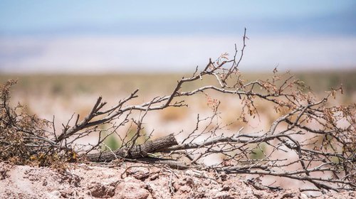 Conferencia latinoamericana promoverá el uso de evidencia científica para las decisiones climáticas