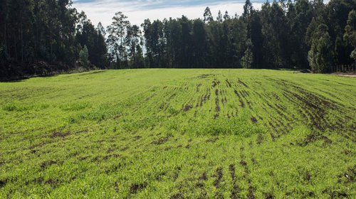 Científicos, académicos y representantes públicos y privados presentan propuestas para medir la sustentabilidad en la actividad silvoagropecuaria