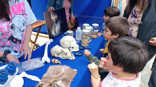 Cientos de coyhaiquinos disfrutaron de Ciencia Pública en Verano