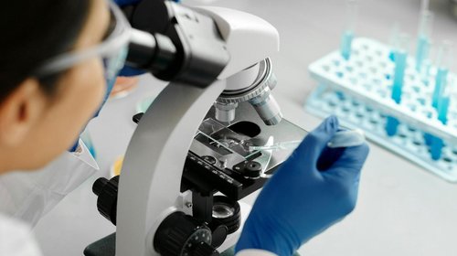 Tres iniciativas de la región de Los Ríos se adjudicaron el programa StartUp Ciencia 2026 de MinCiencia